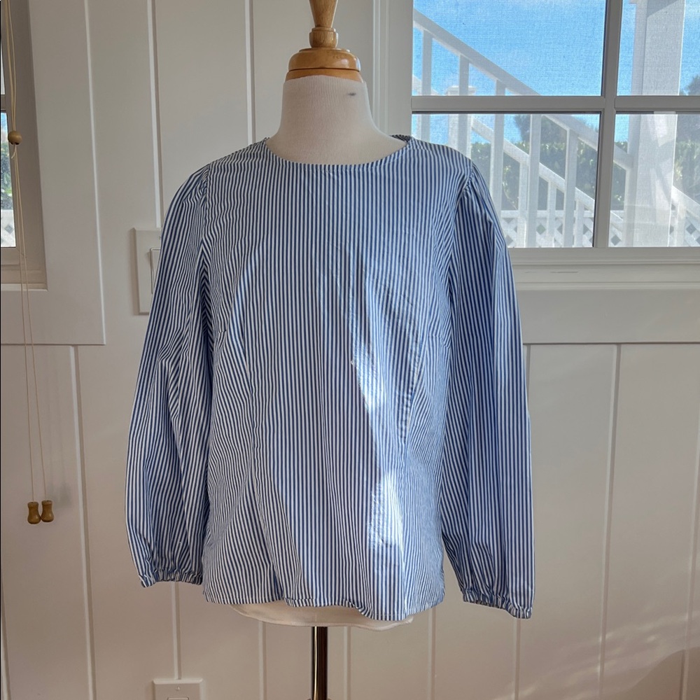 Jcrew Blue and White Striped Blouse